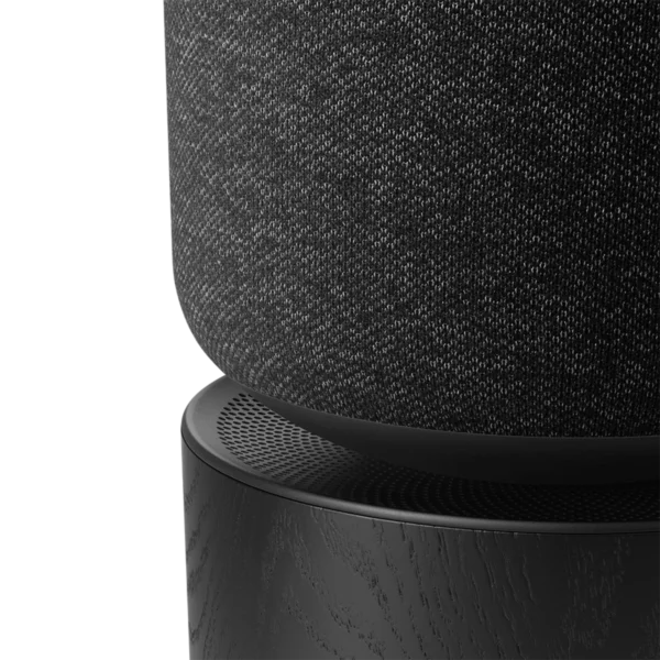 Bang and Olufsen Beosound Balance Black Oak - Sera Casdim