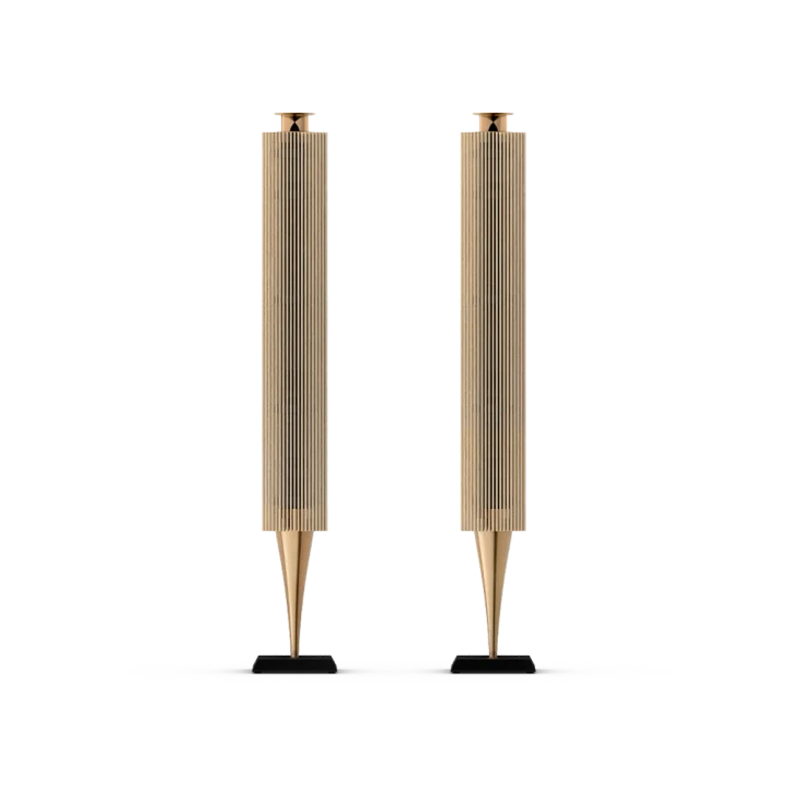 Bang and Olufsen BEOLAB 18 - Sera Casdim